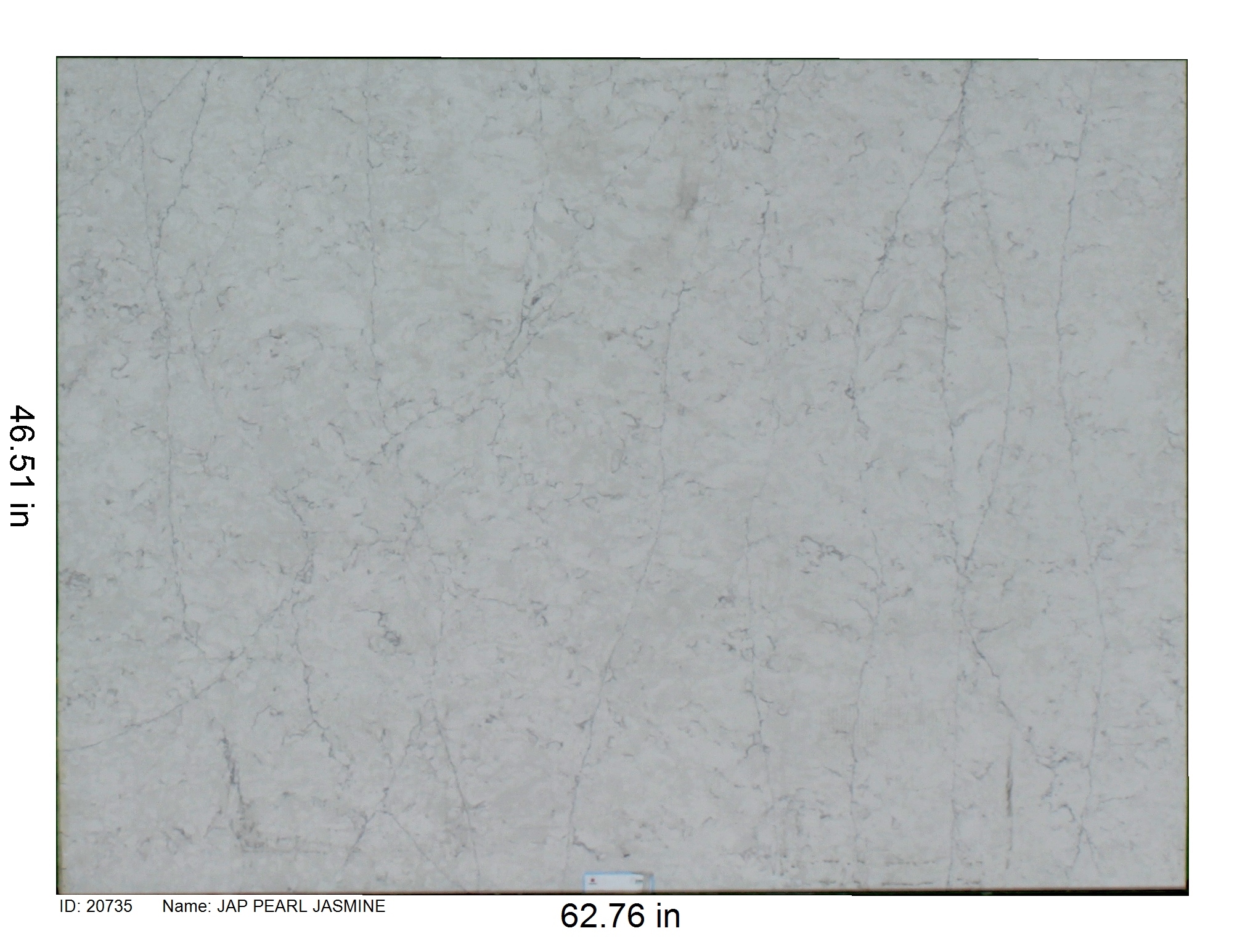 20735 - Jap Pearl Jasmine