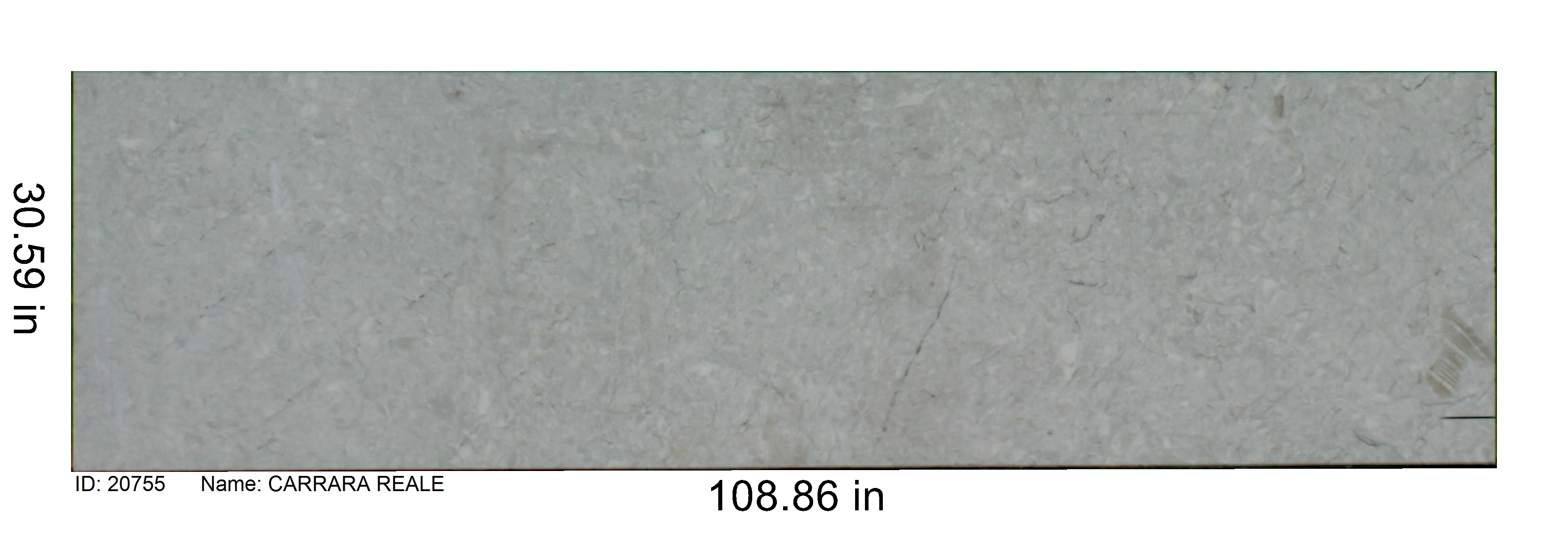 20755 - Carrara Reale