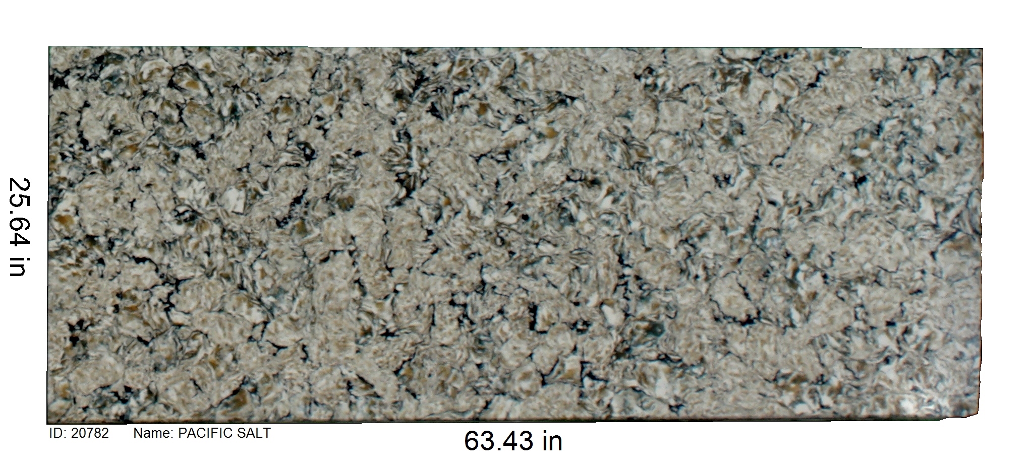 20782 - Pacific Salt