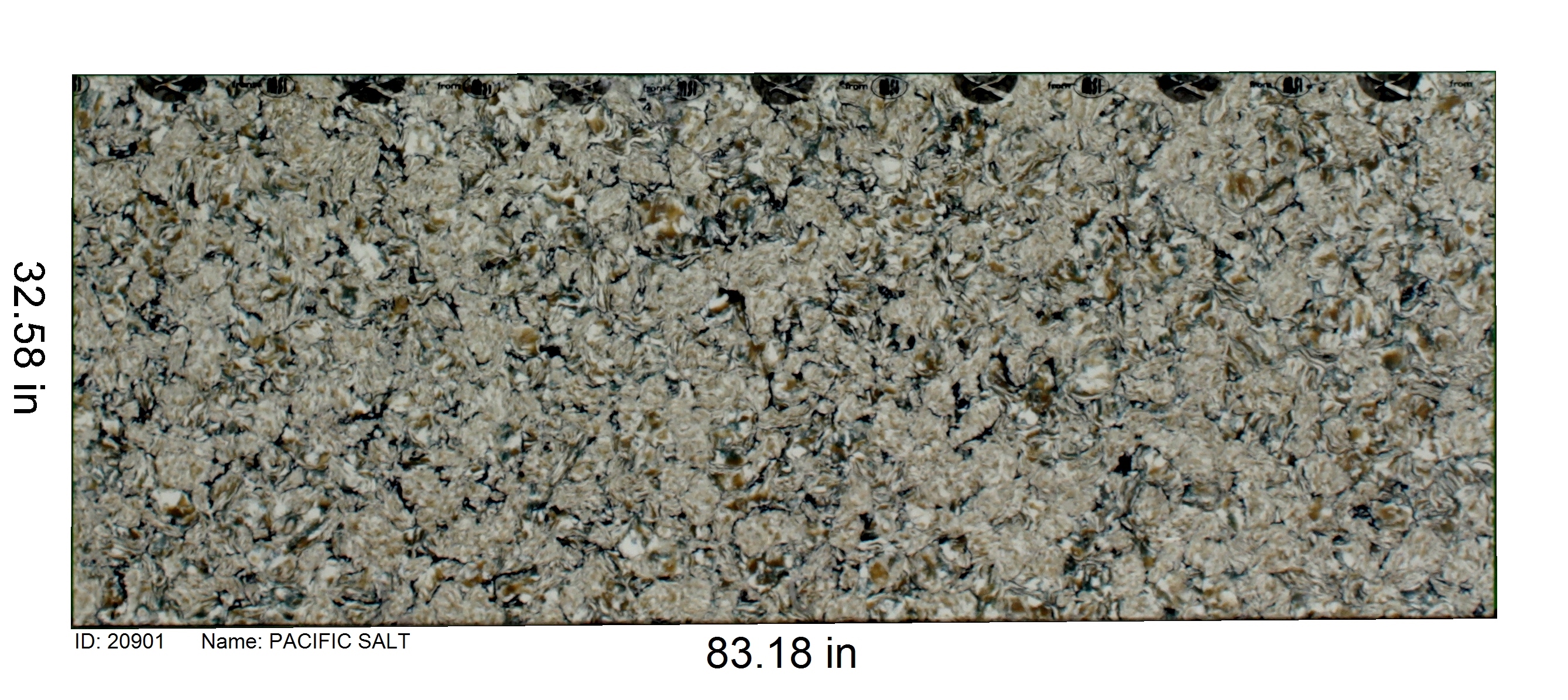 20901 - Pacific Salt