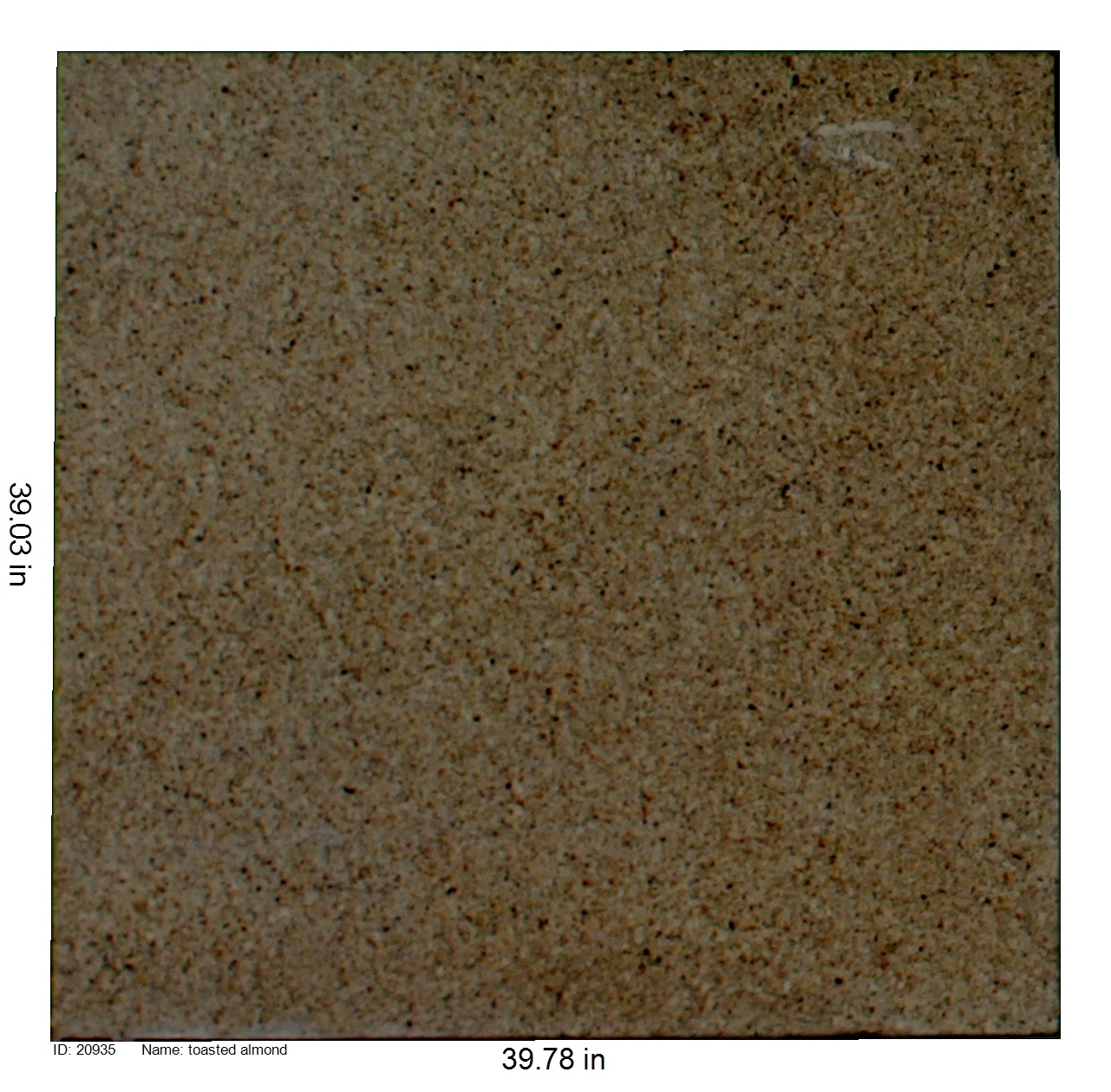 20935 - Toasted Almond