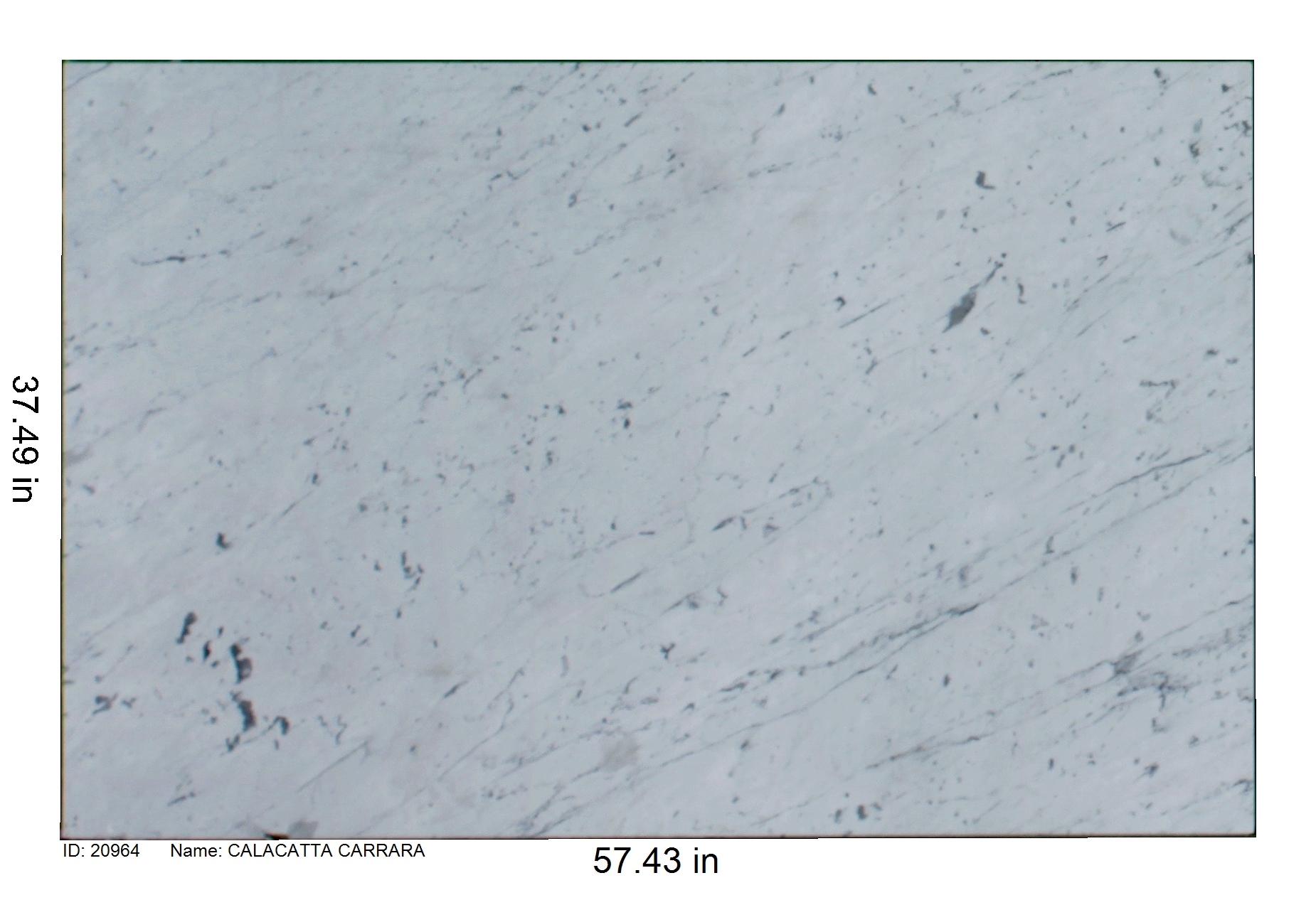20964 - Calacatta Carrara