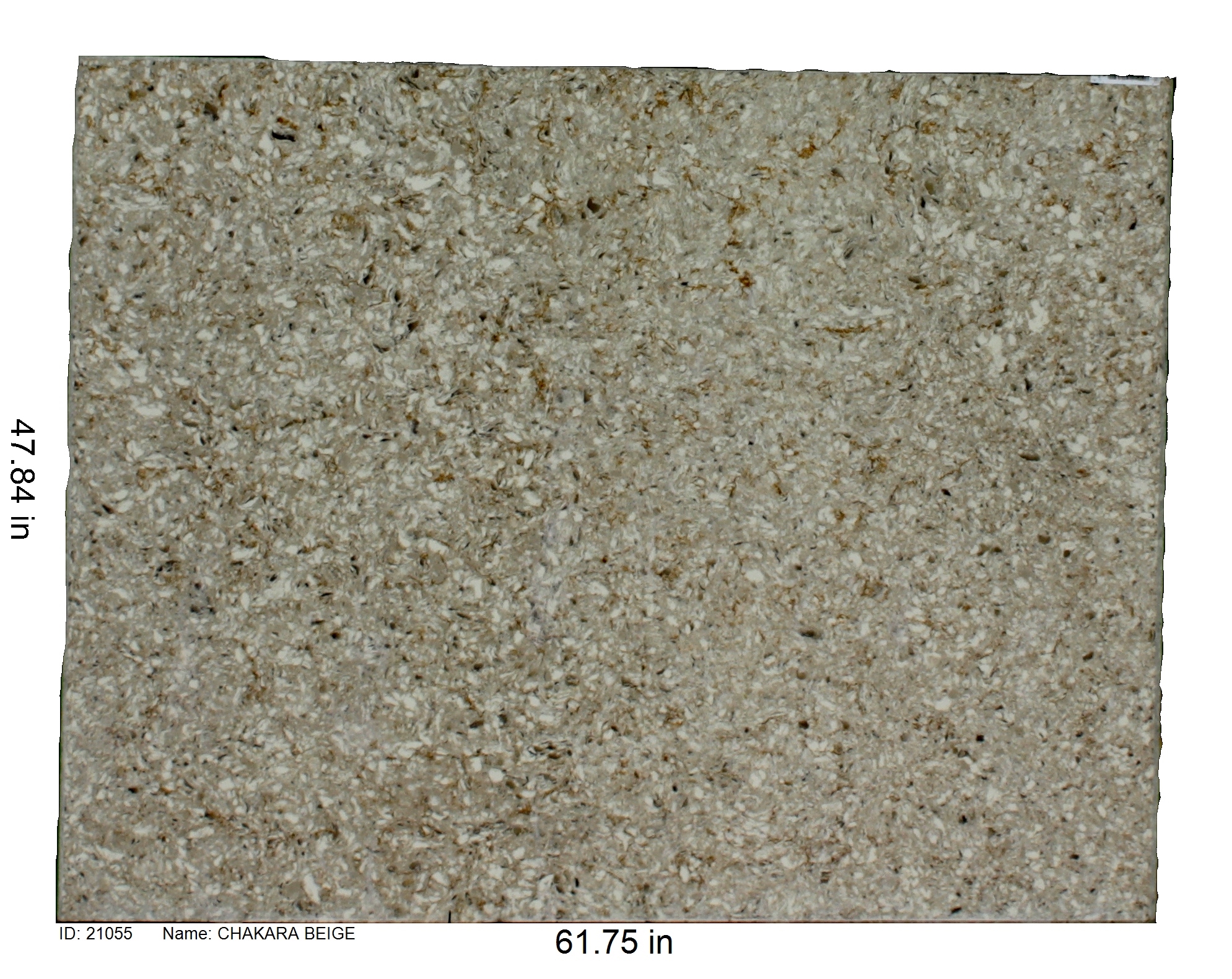 21055 - Chakara Beige