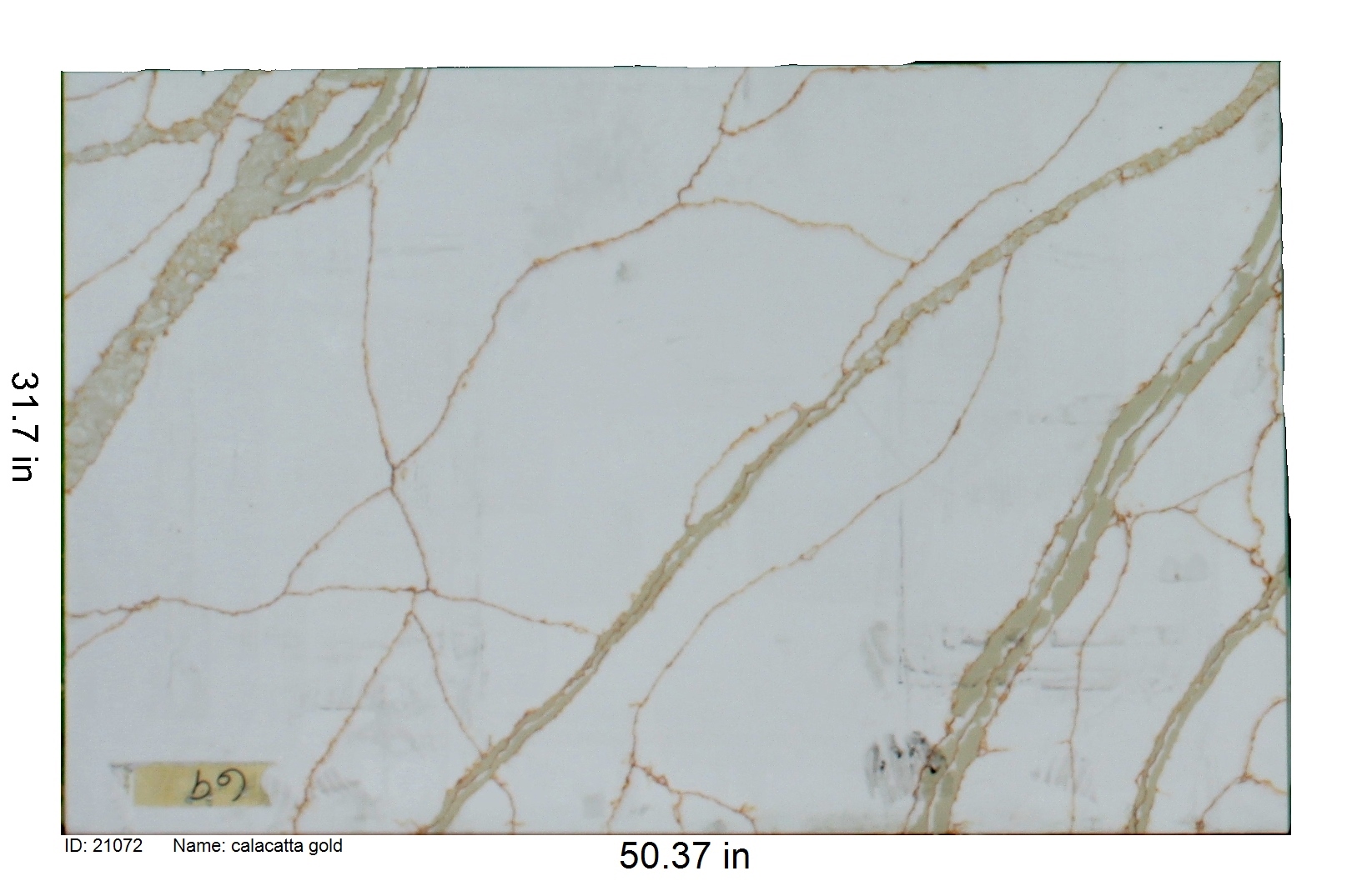 21072 - Calacatta Gold
