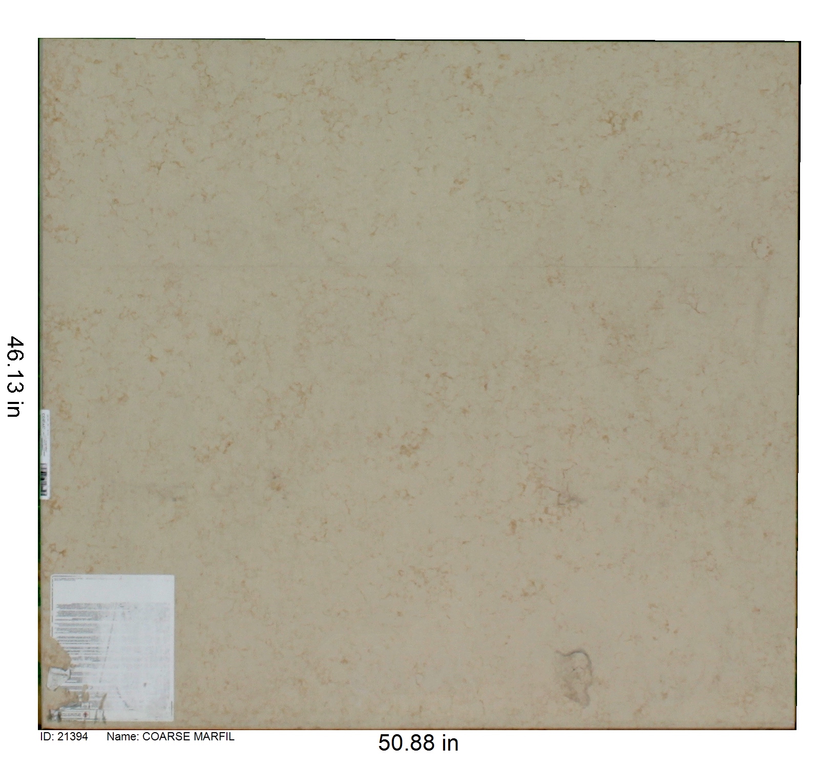 21394 - Coarse Marfil