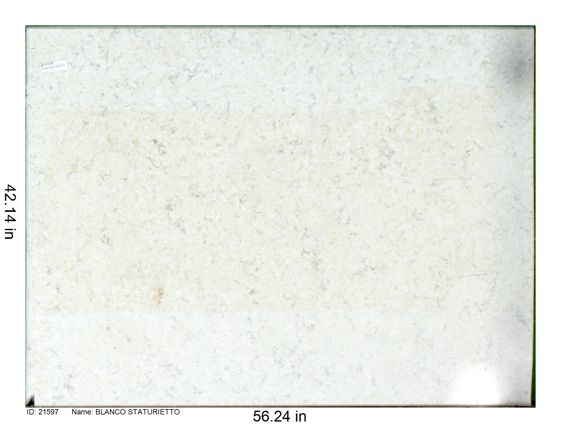 21597 - Blanco Staturietto