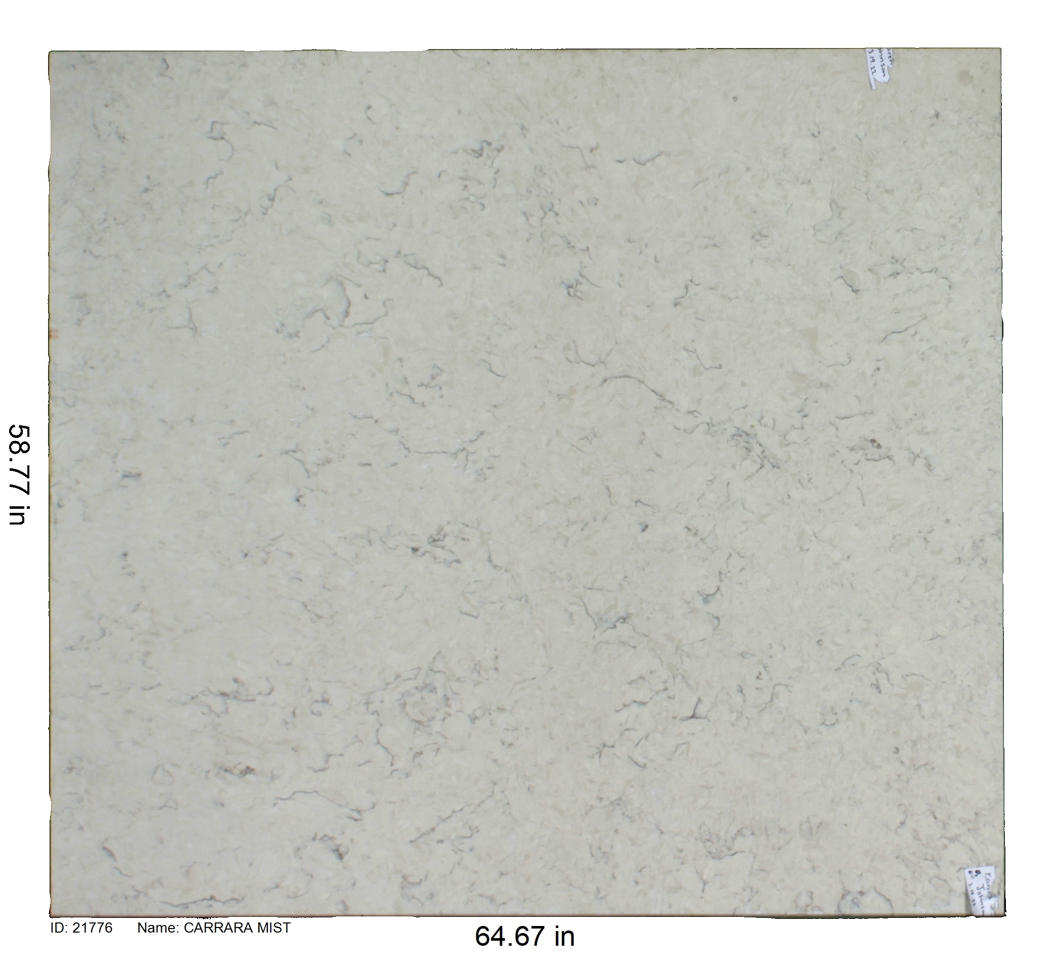 21776 - Carrara Mist
