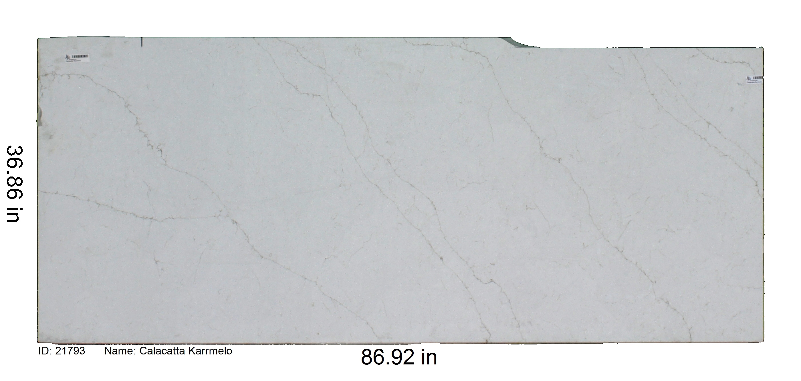 21793 - Calacatta Karmelo