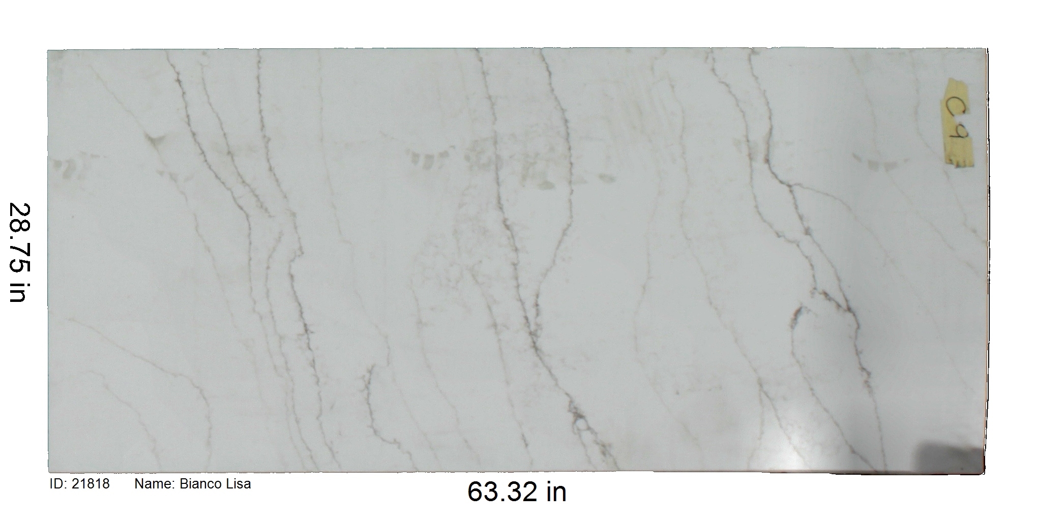 21818 - Bianco Lisa