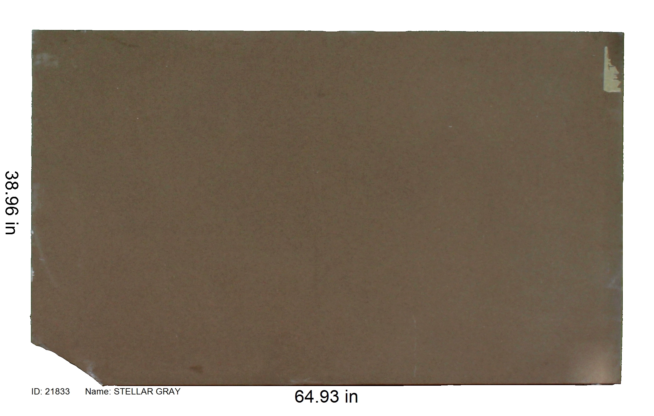 21833 - Stellar Gray