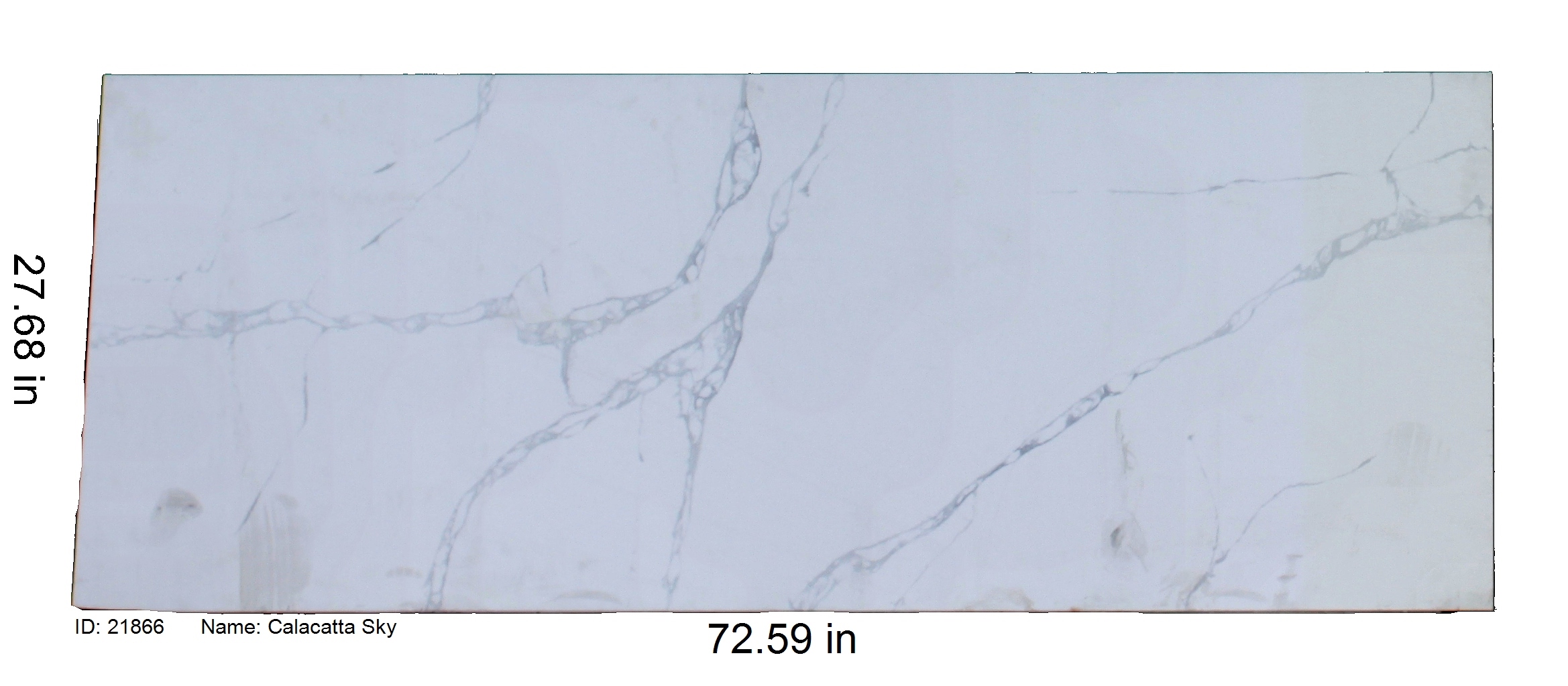 21866 - Calacatta Sky