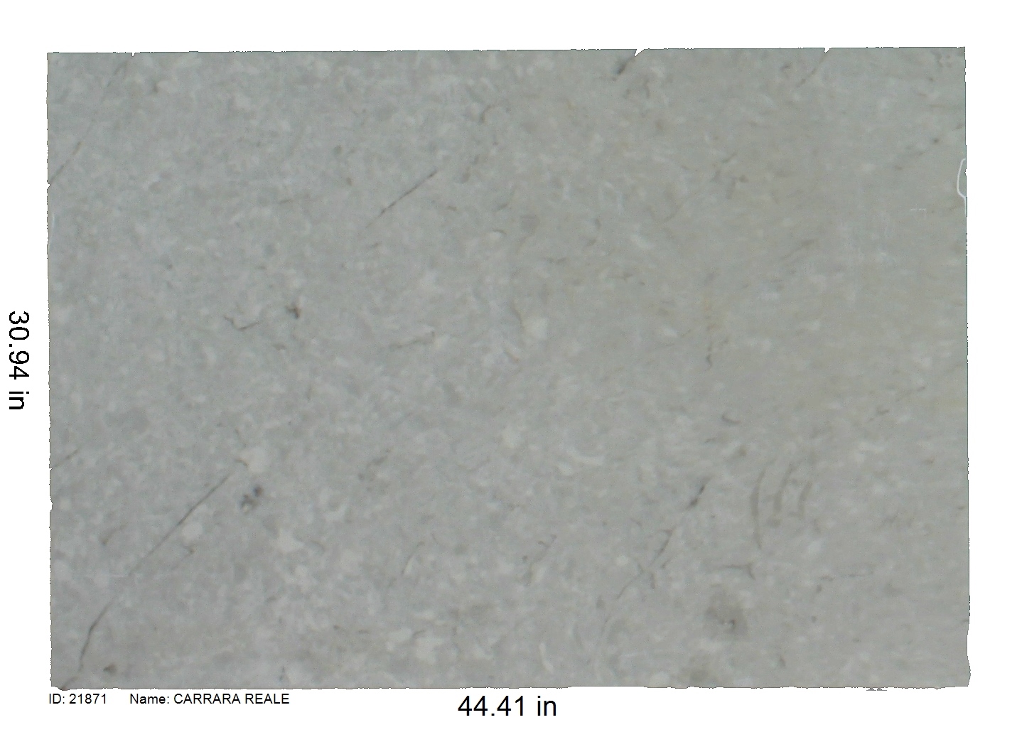 21871 - Carrara Reale