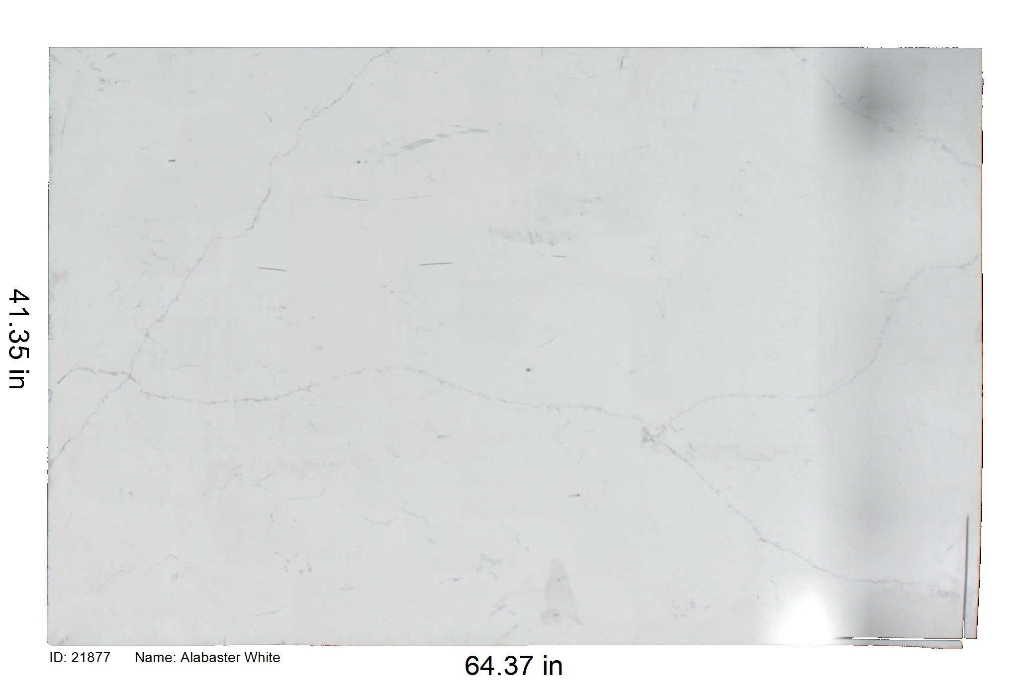 21877 - Alabaster White