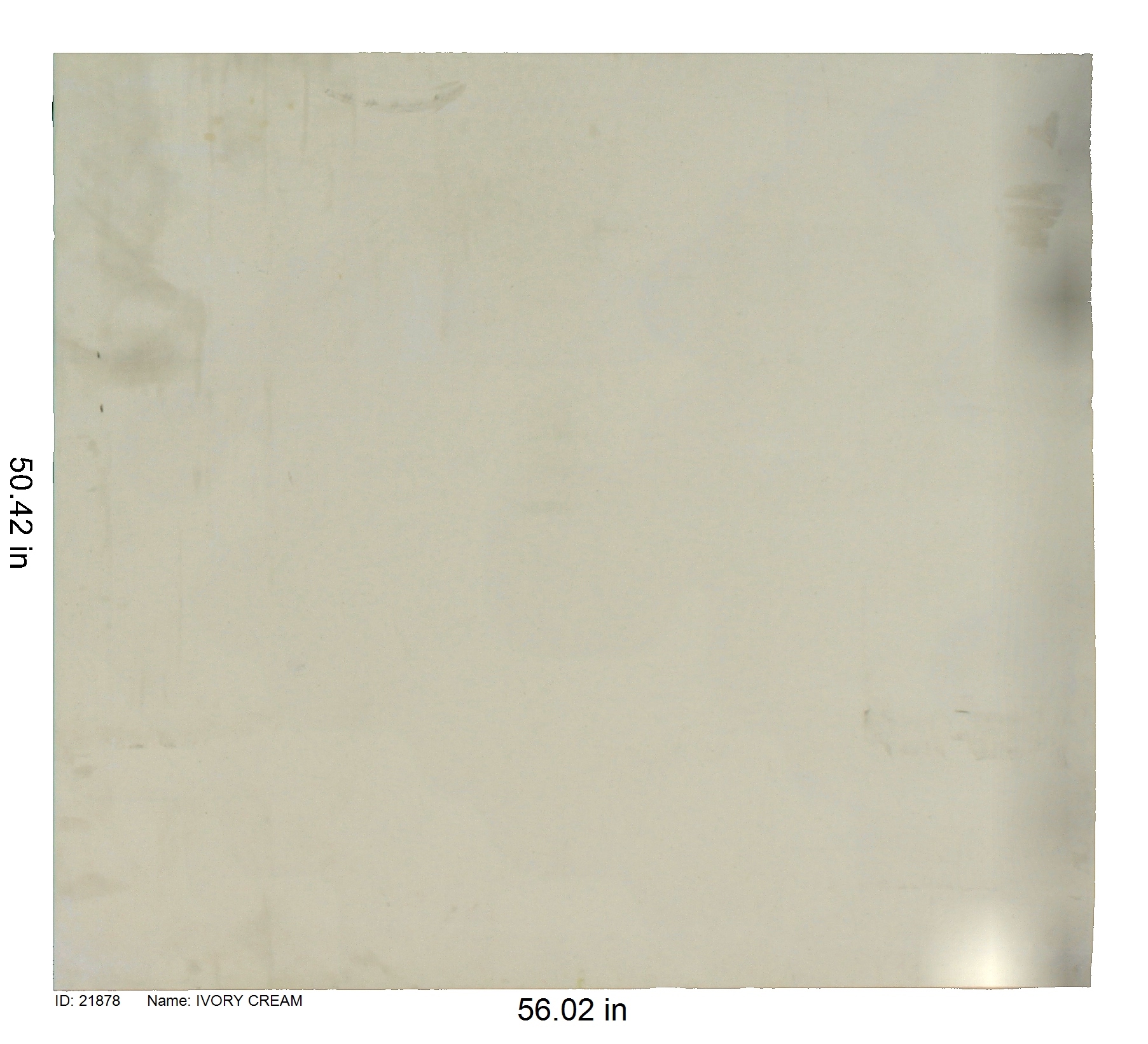 21878 - Ivory Cream