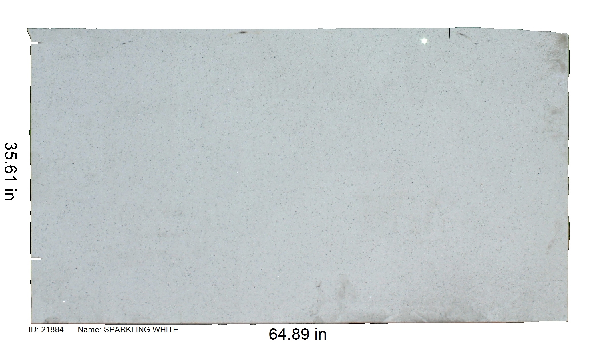 21884 - Sparkling White