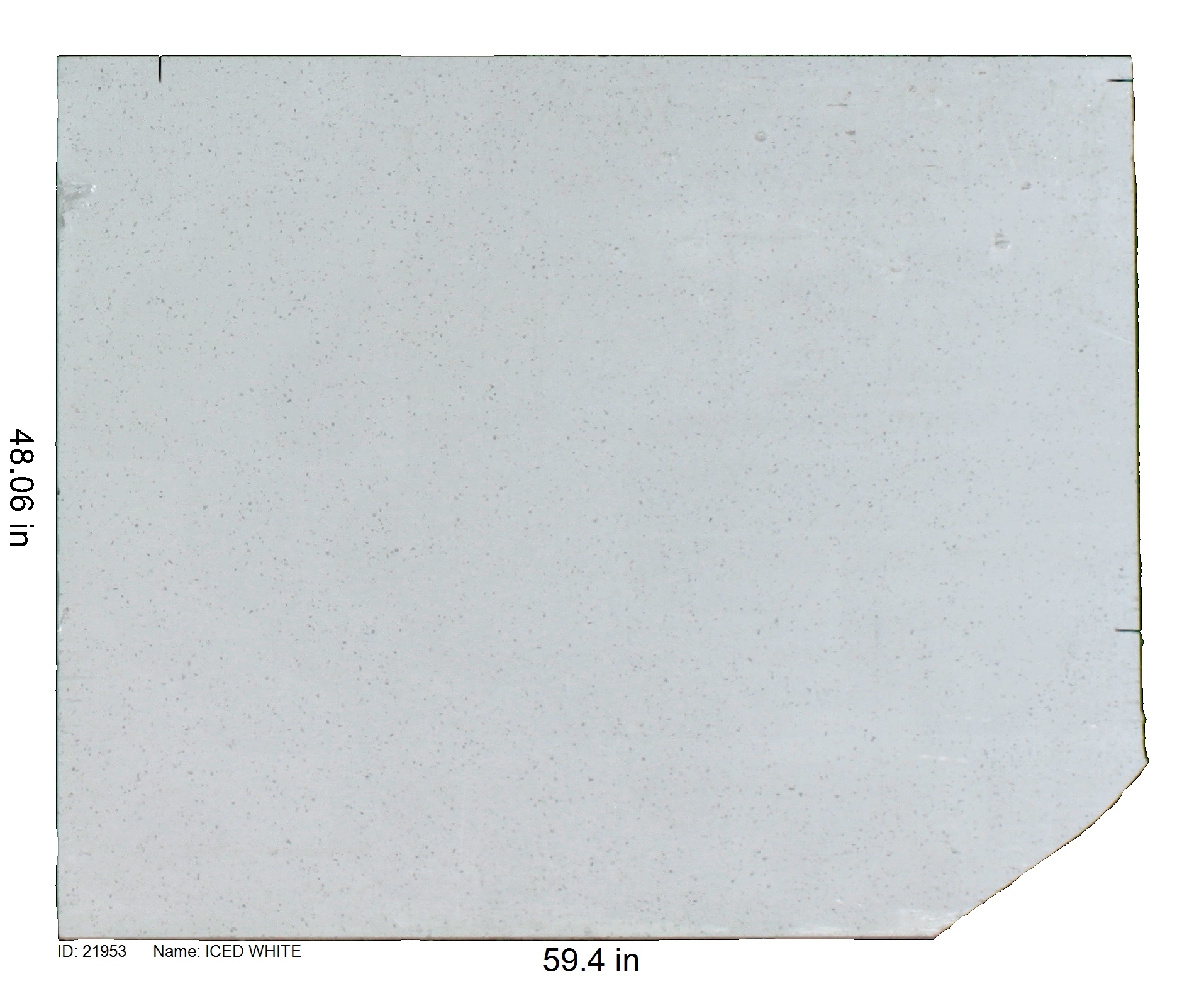 21953 - Iced White 