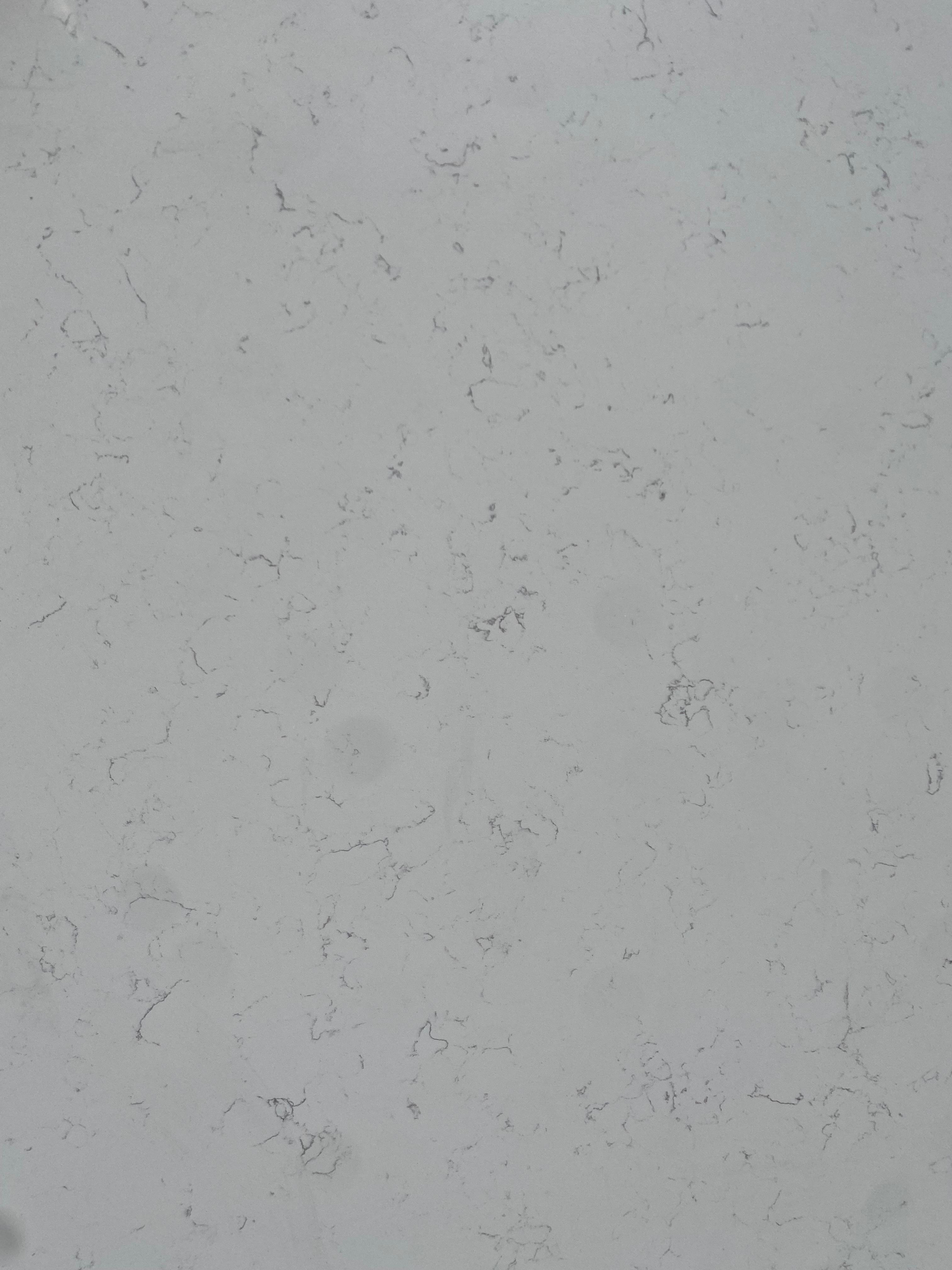 Carrara Ash Close up 