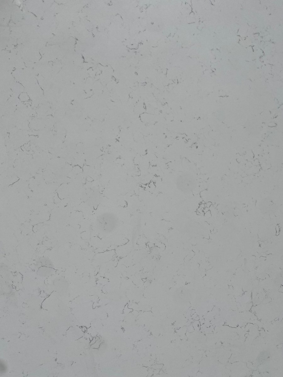 Carrara Ash Close up 