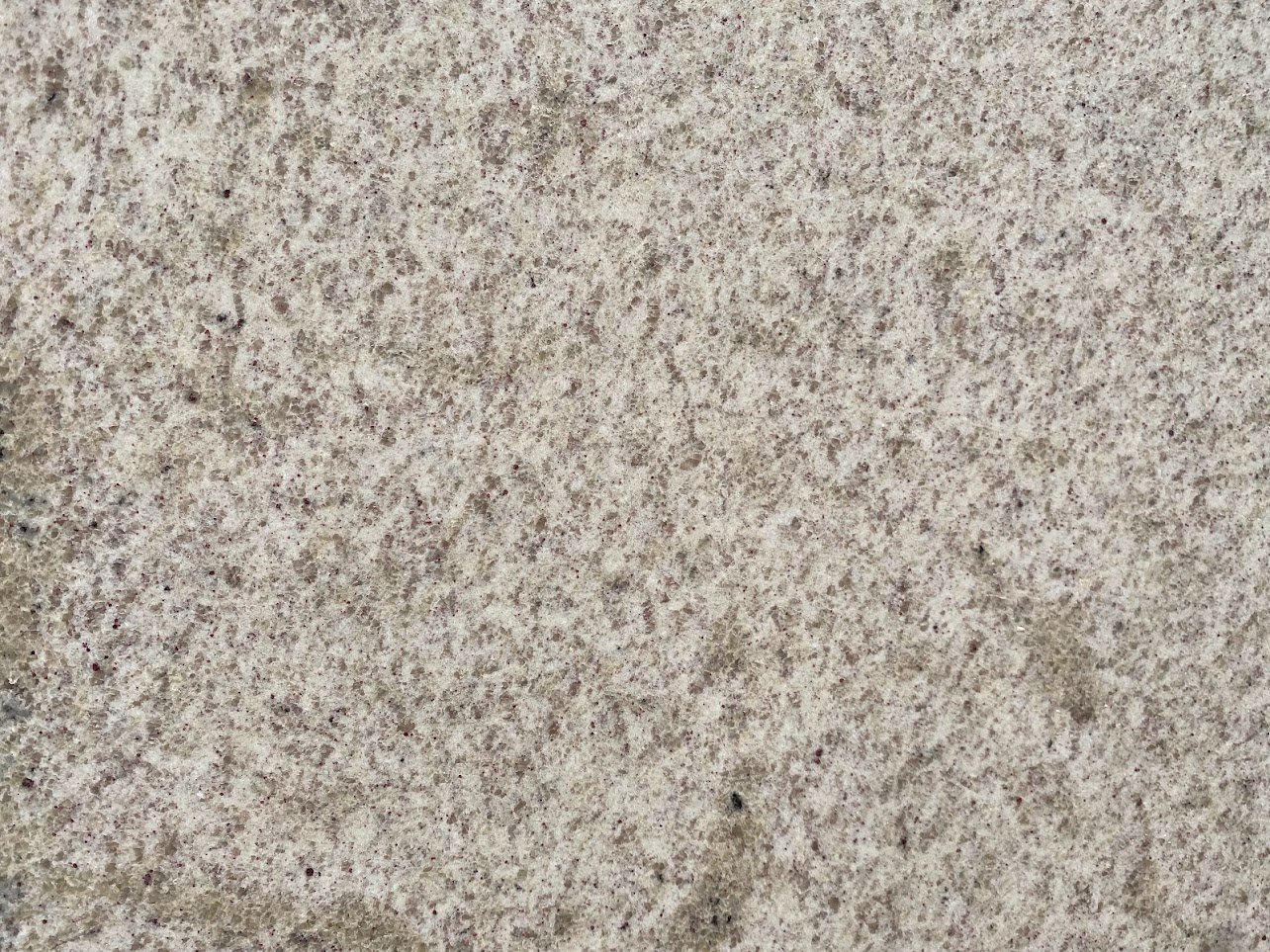 Itaunas Beige-3